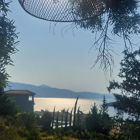 Vilă Ninemia *